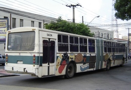 Ciferal