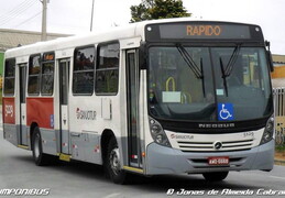 Neobus